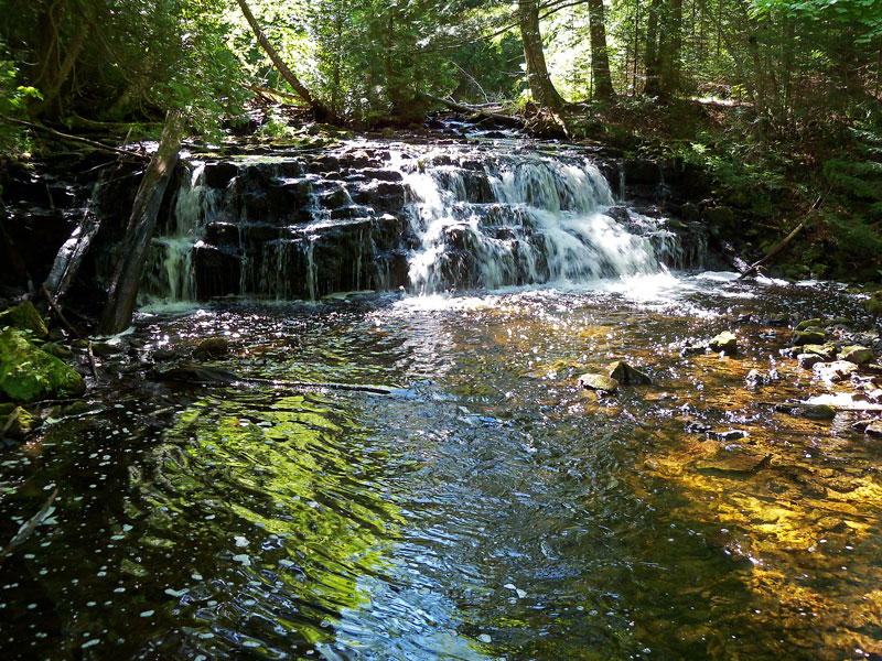 mosquito falls